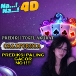 situs untuk melihat Prediksi Togel Akurat Setiap Hari. bocoran angka yang muncul di sini tentunya adalah angka-angka yang terbaik dari kami.